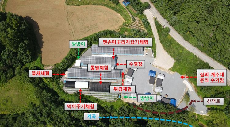 미꾸라지 캠핑장 — 강원 영월의 오토캠핑 전경