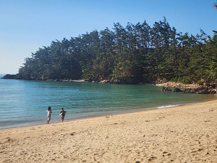 태안 굼벵이캠핑장 — 충남 태안의 오토캠핑 전경