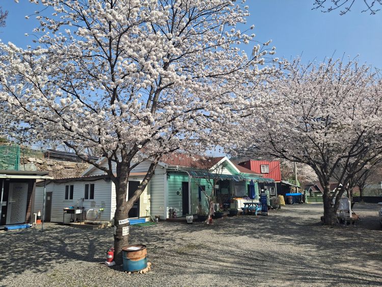 반려동물 동반 단체숙소 · 경주