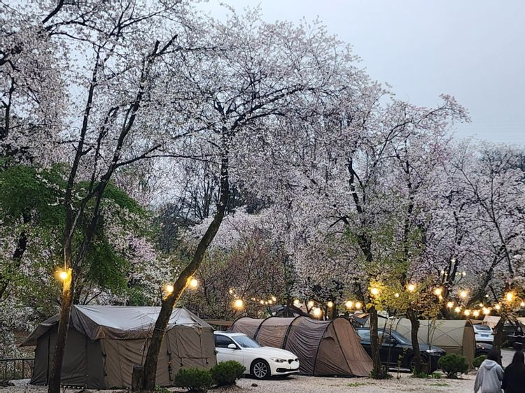 포천 딥포레스트캠핑장
