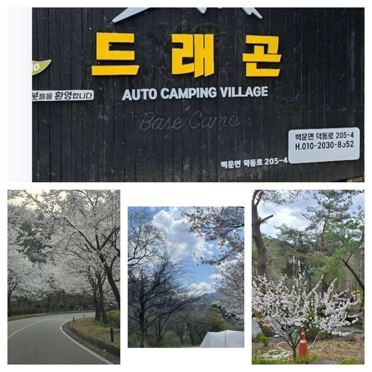 드래곤오토캠핑장 — 충북 제천의 오토캠핑 · 카라반 · 방갈로 전경