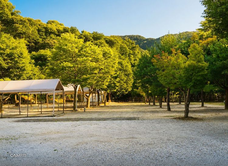 파피루스캠핑장