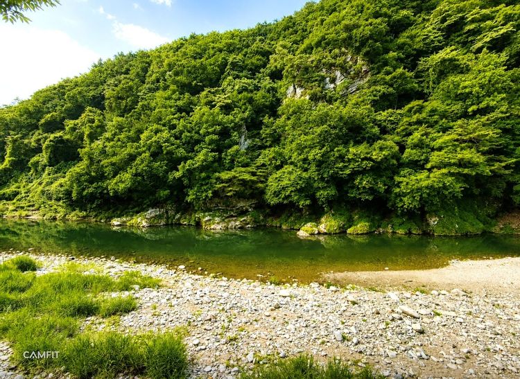 가평 중바위캠핑장 — 경기 가평의 오토캠핑 전경