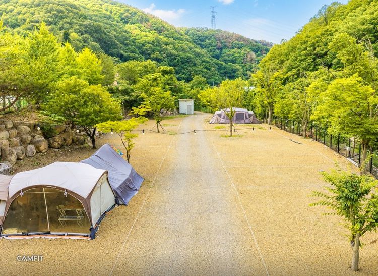 양남 라라캠핑장 — 경북 경주의 오토캠핑 전경