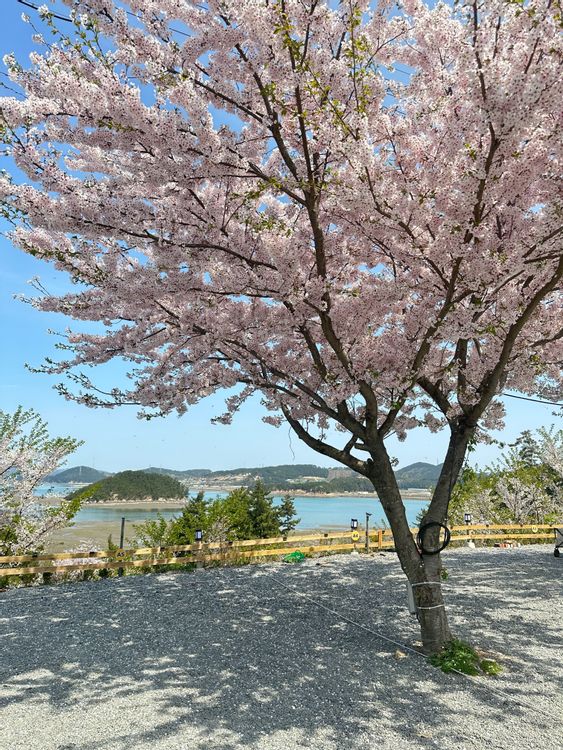 가로림만 라모스 리조트&캠핑장 — 충남 태안의 오토캠핑 · 펜션 전경