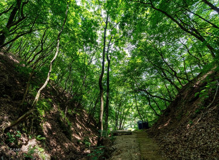 비발디캠핑파크 설악오색점 — 강원 양양의 오토캠핑 · 방갈로 전경