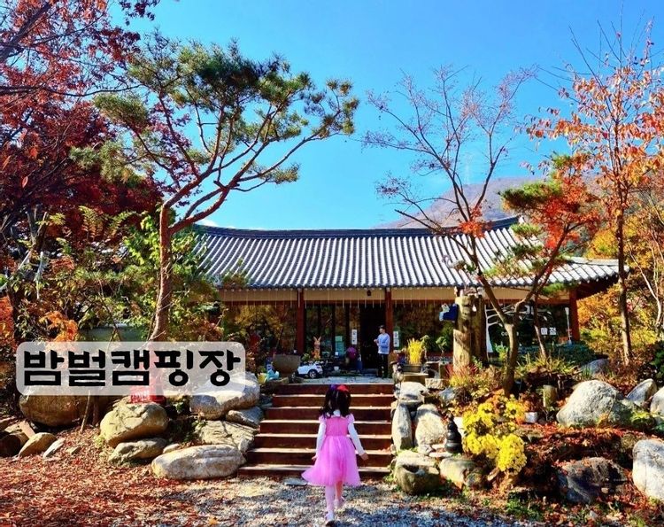 밤벌캠핑장 — 경기 가평의 오토캠핑 · 카라반 · 펜션 전경