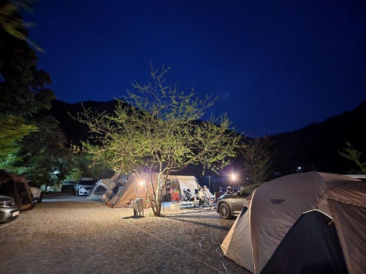 평창 숲과개울오토캠핑&펜션