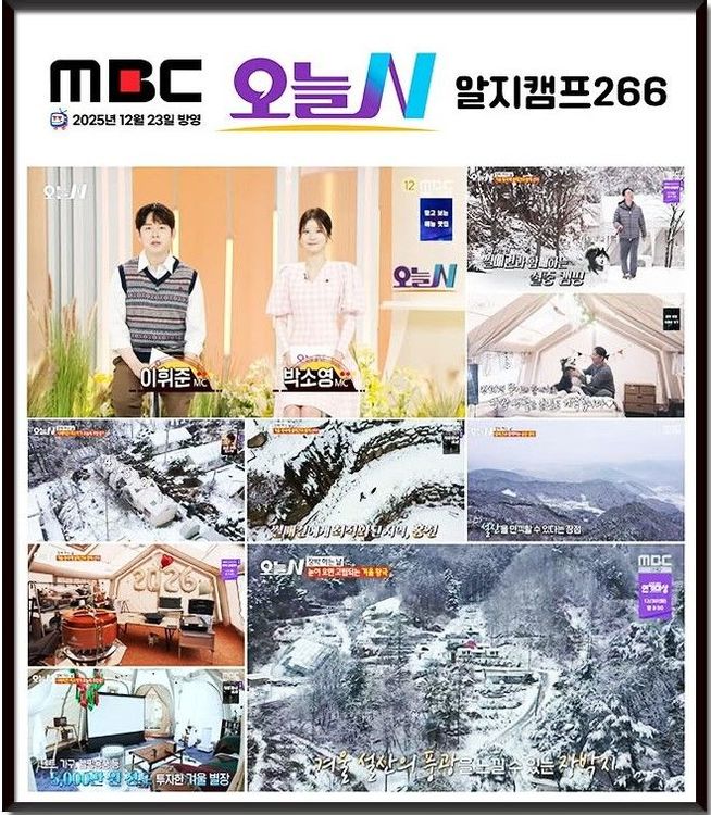 알지캠프266 — 강원 홍천의 카라반 · 오토캠핑 · 글램핑 전경